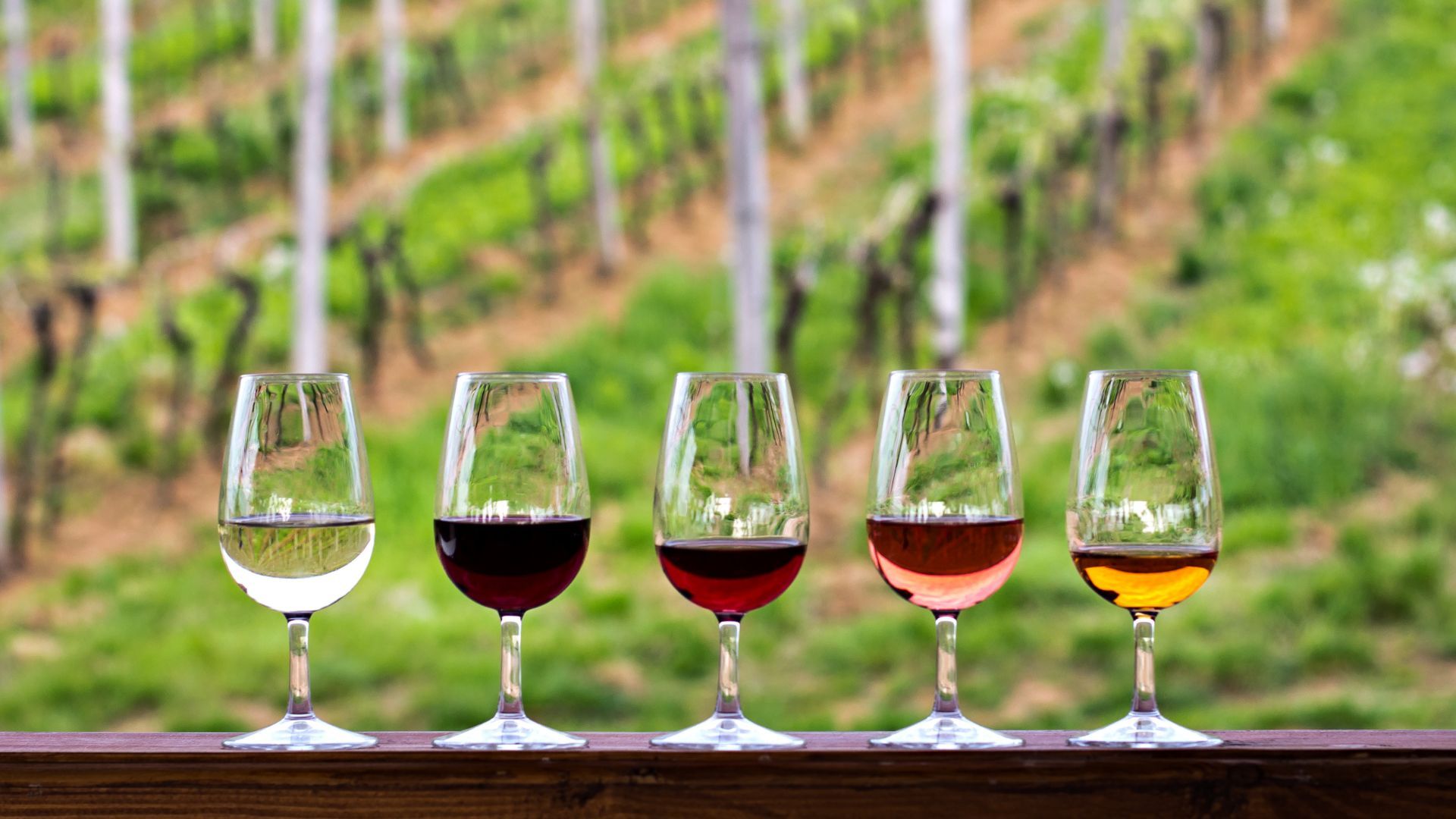 ¿Qué vino elegir según la estación del año? Maridajes de temporada con vinos de montaña
