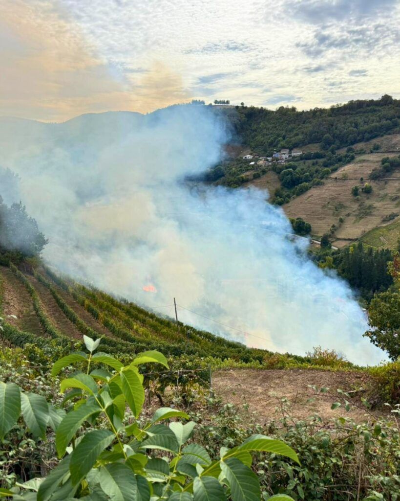 mejor cosecha fuego
