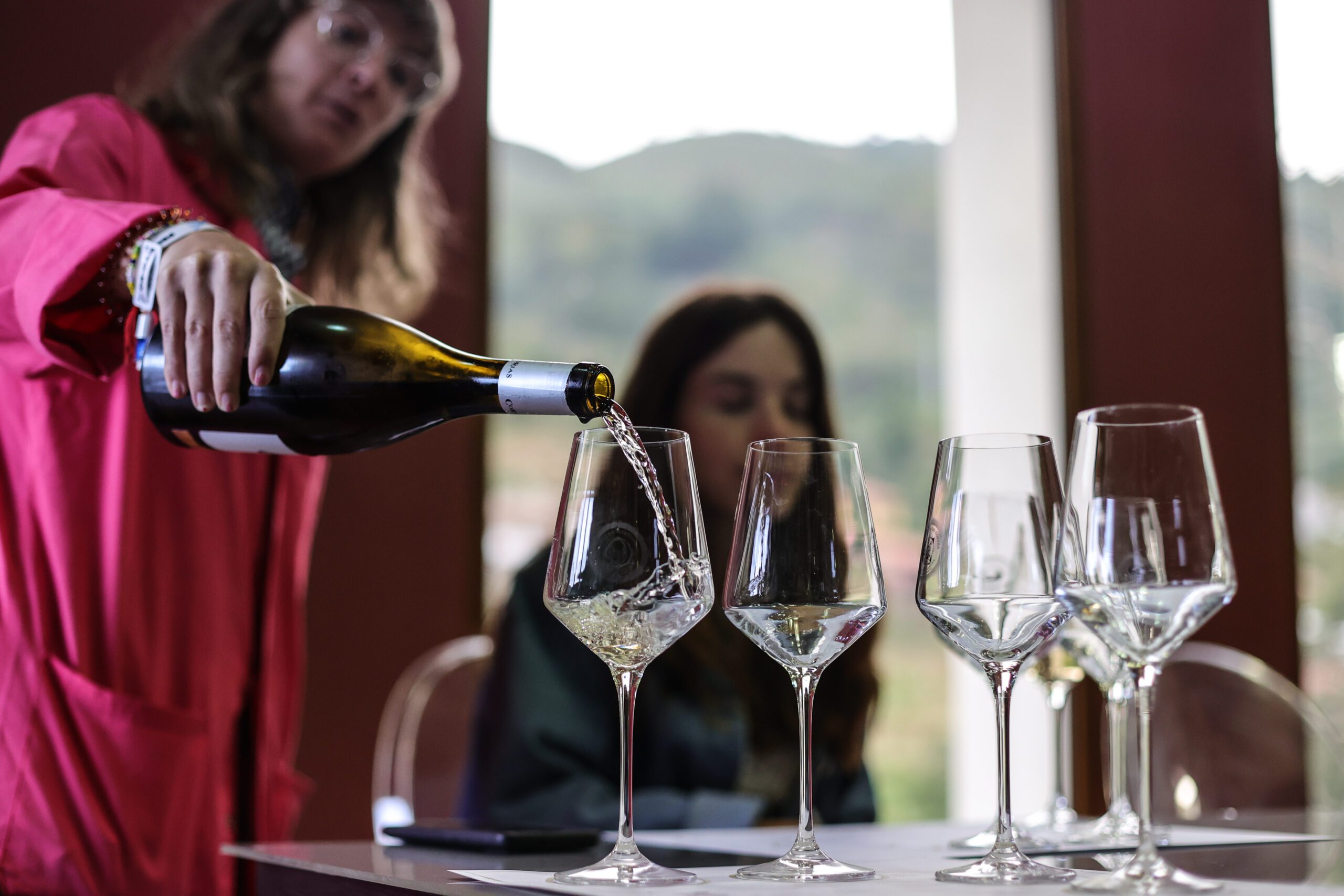 Visita Bodega Monasterio de Corias